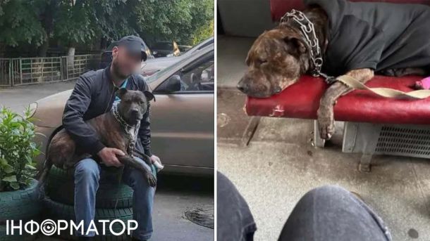 У суботу в центрі Києва обмежать рух транспорту через візити делегацій та урочистості Собака, яку розшукують
