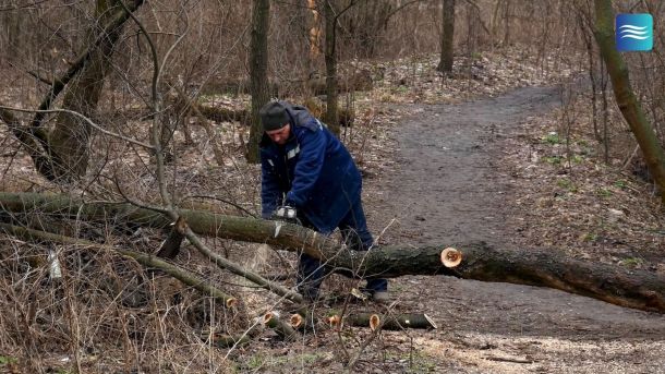 У Києві обстріляли авто ветеранки «Айдару» Вікторії Дворецької У Києві обстріляли авто ветеранки «Айдару» Вікторії Дворецької