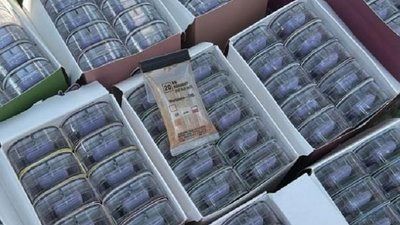 У Києві викрили канал постачання наркотиків з Німеччини через пошту У Києві викрили канал постачання наркотиків з Німеччини через пошту