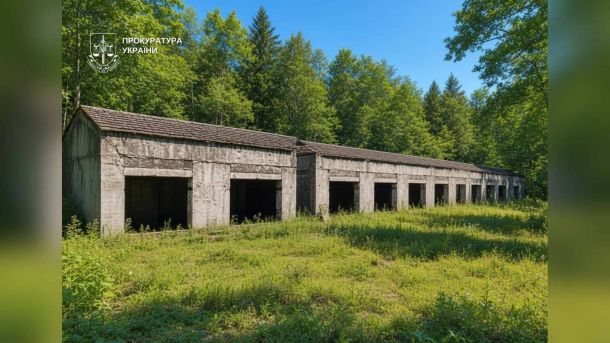 Каналізаційні стоки потрапили у водойми Борщагівської громади — загинула риба Вулиця Радосинська на Троєщині в Деснянському районі Києва, де суд зобов'язав знести самочинні споруди на 25 га комунальної землі вартістю 417 млн грн