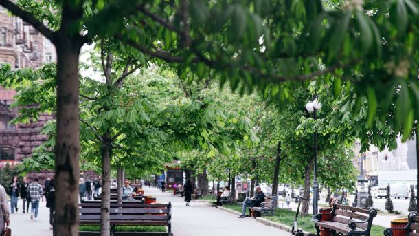 Сусідська сварка з ножем у Голосієві: патрульні затримали нападника Пішохідна зона Хрещатика в Києві — алея каштанів, лавки і гуляючі кияни в травні під час святкування Дня Києва