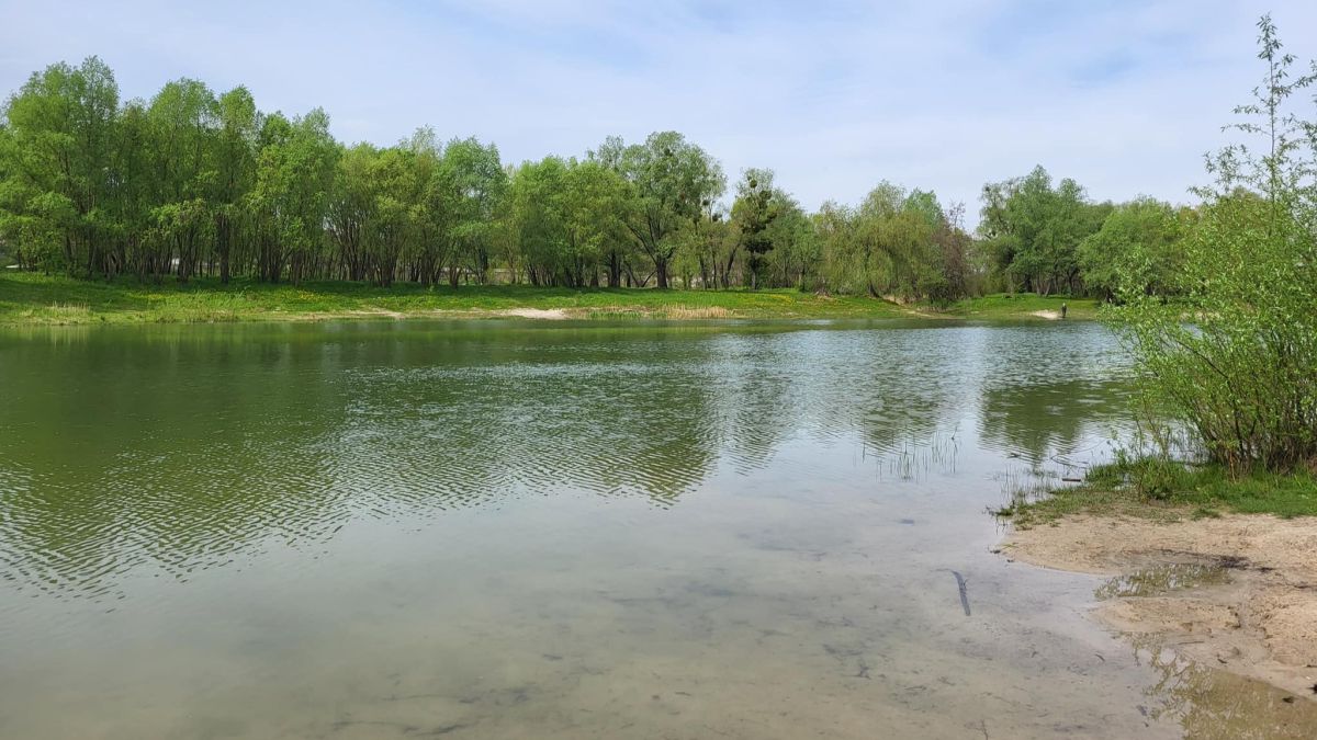 Відновлення Синього озера у Києві: що зроблено та які проблеми залишаються Відновлення Синього озера у Києві: що зроблено та які проблеми залишаються