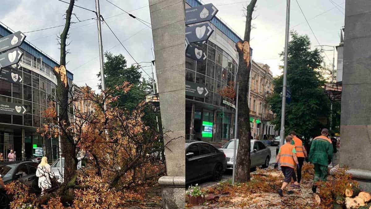 Негода в Києві та області: буревій, повалені дерева, обірвані лінії й п’ятеро постраждалих Негода в Києві та області: буревій, повалені дерева, обірвані лінії й п’ятеро постраждалих