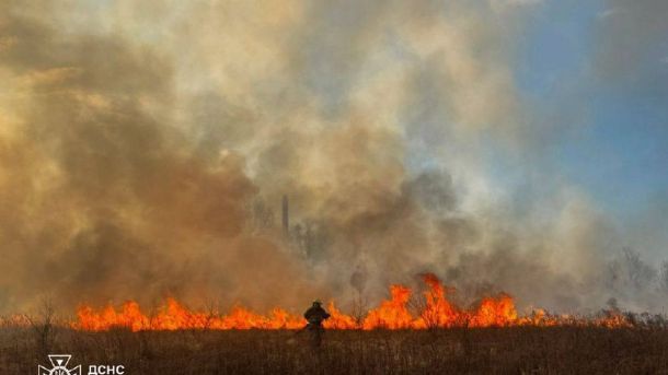 Поліція затримала іноземця за ножове поранення киянина у Печерському р-ні 15 тис. кв. м пожеж у Києві: ДСНС закликає не палити траву