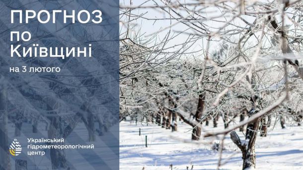 У Києві 258 одиниць техніки прибирають сніг Покриті снігом дерева у саду