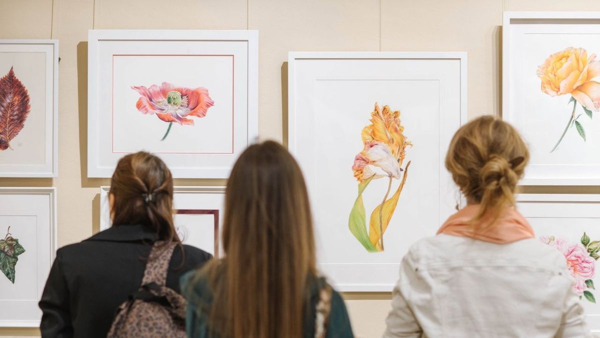 «Між світами»: у музеї Шевченка відкрили масштабну виставку сучасного мистецтва та ботанічного живопису Троє відвідувачів розглядають акварельні картини квітів, розміщені у білих рамах на стіні виставкового залу