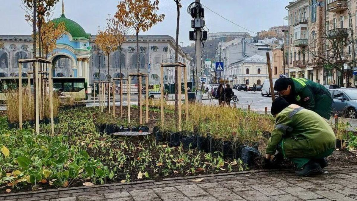 Оновлений сквер на Контрактовій: 16 тисяч багаторічників змінили центр Подолу Фахівці висаджують рослини у сквері на Контрактовій площі