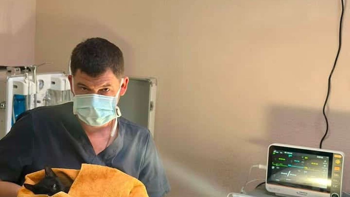 У Києві відкрили ветеринарне стоматологічне відділення для тварин Ветеринарне стоматологічне відділення для собак і котів відкрилося у КП «Київська міська лікарня ветеринарної медицини» на вулиці Ярославській у Подолі