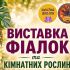 Головні новини Києва | Kyiv.News Афіша виставки фіалок і кімнатних рослин у Києві — сорти фіалок, бегонії, сукуленти й екзотичні рослини, вхід безкоштовний.