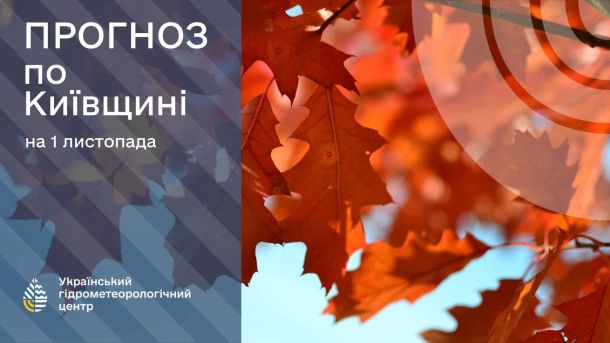 У столиці 5 листопада очікується тепла осіння погода без денних опадів Прогноз погоди по Київщині на 1 листопада з листям на фоні