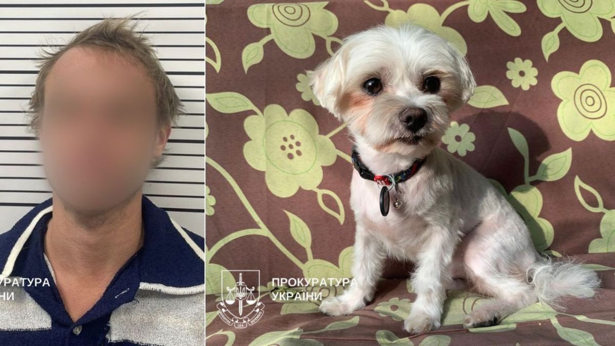 У Києві судитимуть чоловіка, який убив собаку, кинувши його об підлогу Чоловік з розмитим обличчям на фоні смугастої стіни, поруч маленький білий собака з нашийником