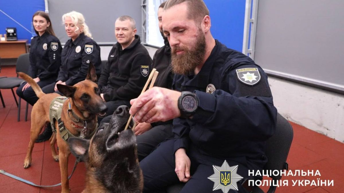 Чотирилапі терапевти: у новому кінологічному центрі Київщини провели заняття для ветеранів Кінологи з собаками під час тренування