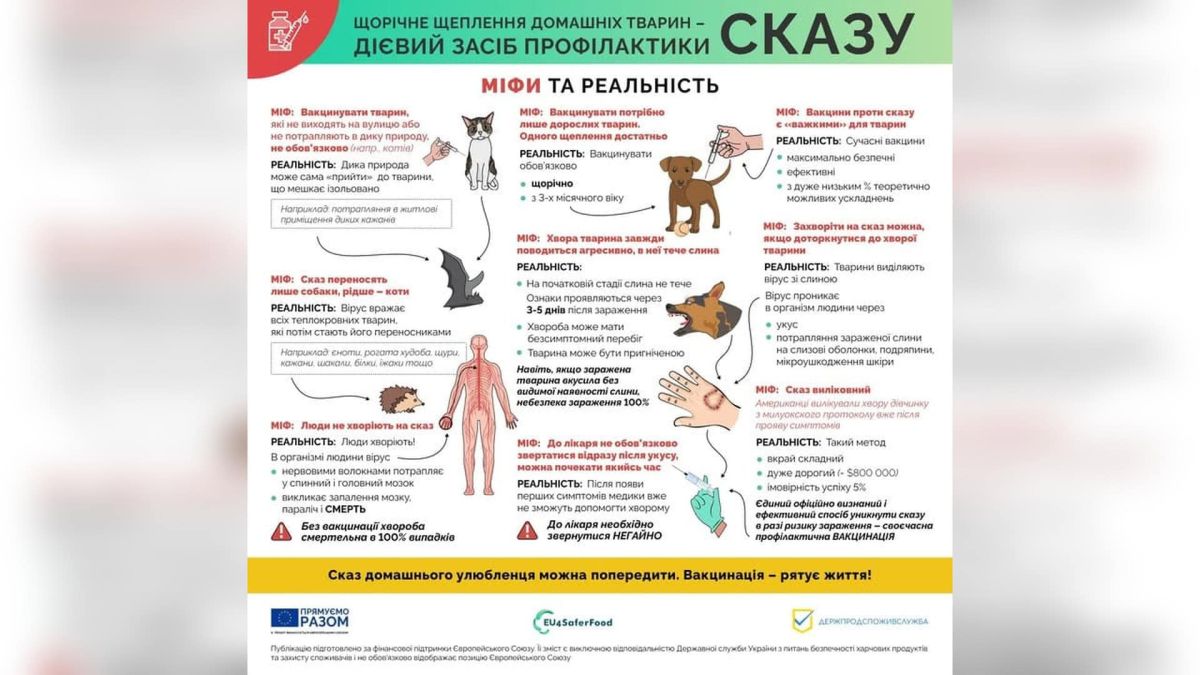 Вакцинація проти сказу є безкоштовною для киян у держветлікарнях Інфографіка Держпродспоживслужби: міфи та реальність про щорічну вакцинацію домашніх тварин проти сказу