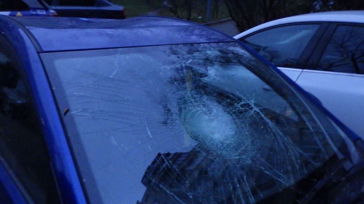 Виліз на дах чужої автівки і бив ногами: затримали 21-річного киянина Розбите лобове скло в автівці