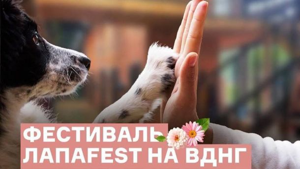 У Києві пройде святкування Курбан-байраму за кримськотатарськими звичаями Афіша фестивалю