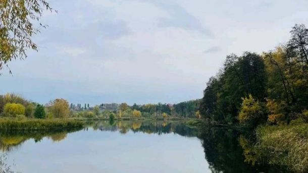 Прокуратура вимагає скасувати забудову 7 гектарів території з віковими дубами Загальний вигляд на заказник «Совська Балка»