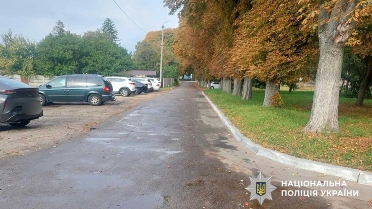 У Борисполі раптово помер чоловік, який ішов на ВЛК Осіння вулиця, з правої сторони дороги жовті дерева, з лівої - стоянка автомобілів