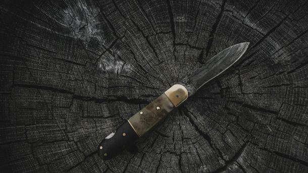 У Білій Церкві збудують квартал на 1500 квартир для переселенців із Маріуполя Ніж лежить на деревині