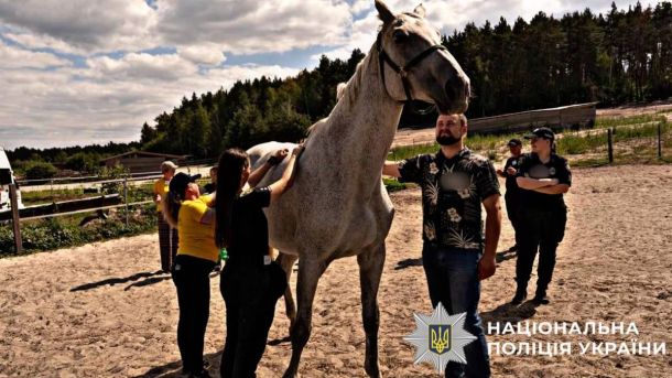 Іпотерапія та апітерапія: рятувальники ДСНС відновлюються разом із дітьми Іпотерапія та апітерапія: рятувальники ДСНС відновлюються разом із дітьми