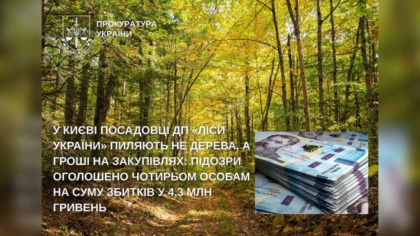 У Києві працівник ТЦК забив до смерті мобілізованого в автобусі — йому загрожує до 12 років ув'язнення Інфографіка прокуратури із зображенням лісу та грошей