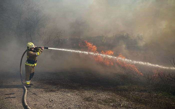 Надзвичайна пожежна небезпека в Києві: з 7 по 9 липня заборонено відвідувати ліси Надзвичайна пожежна небезпека в Києві: з 7 по 9 липня заборонено відвідувати ліси
