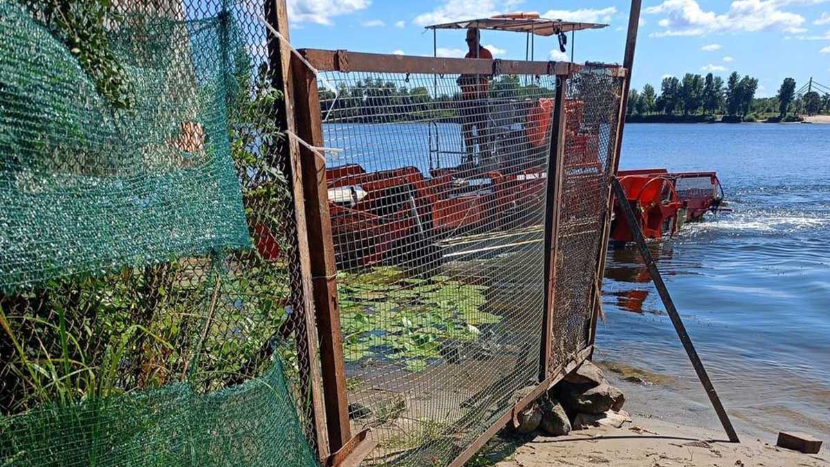 У затоці Оболонь очищають акваторію пляжів від водоростей У затоці Оболонь очищають акваторію пляжів від водоростей