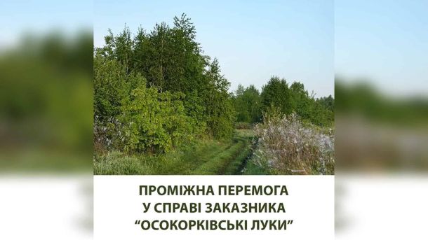 «Осокорківські луки» захищено: суд відхилив клопотання забудовника Природний ландшафт заказника «Осокорківські луки» у Києві — луки, дерева та польова дорога, яку захищають від забудови