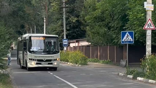 Під корінням ялини в Переяславі знайшли польську монету 1625 року Під корінням ялини в Переяславі знайшли польську монету 1625 року