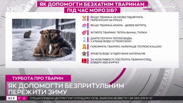 У Києві на 30% зросла кількість поліцейських через блекаути Кадр ефіру телеканалу Київ 24, "Як допомогти безпритульним пережити зиму"