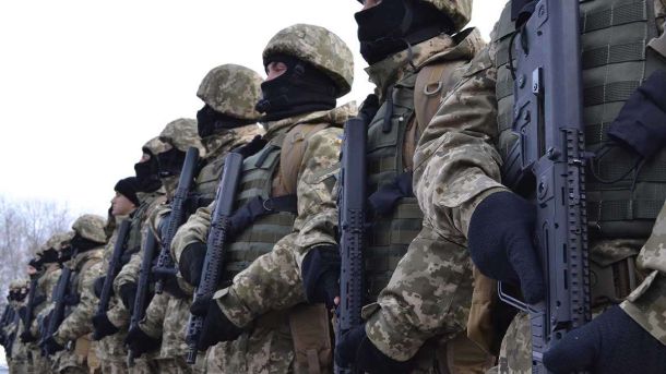 У Києві перші коти знайшли нових господарів через цифровий сервіс “Адопція тварин” ЗСУ
