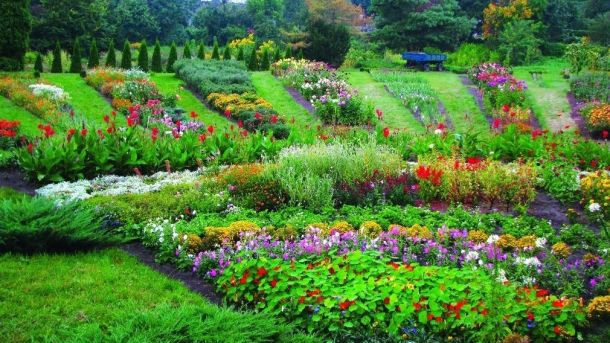 Прокуратура оскаржує договір реконструкції у ботсаду імені Гришка: йдеться про 130 гектарів заповідної землі Прокуратура оскаржує договір реконструкції у ботсаду імені Гришка: йдеться про 130 гектарів заповідної землі