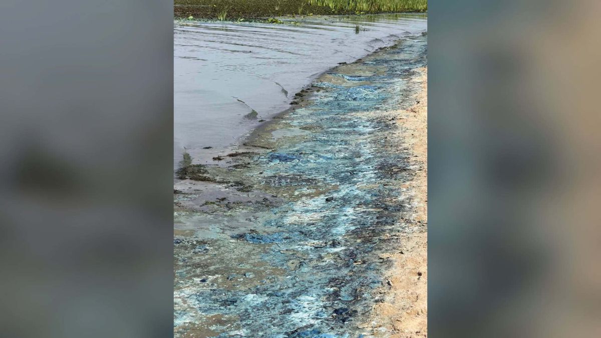 Дніпро вкрився бірюзовою піною: КП «Плесо» відібрало проби води Яскраво-бірюзове забарвлення води і піни вздовж піщаного берега Дніпра в Києві, спричинене, ймовірно, цвітінням водоростей