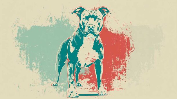 Будинок 1899 року в зоні ЮНЕСКО: у Києві готують демонтаж Будинок 1899 року в зоні ЮНЕСКО: у Києві готують демонтаж