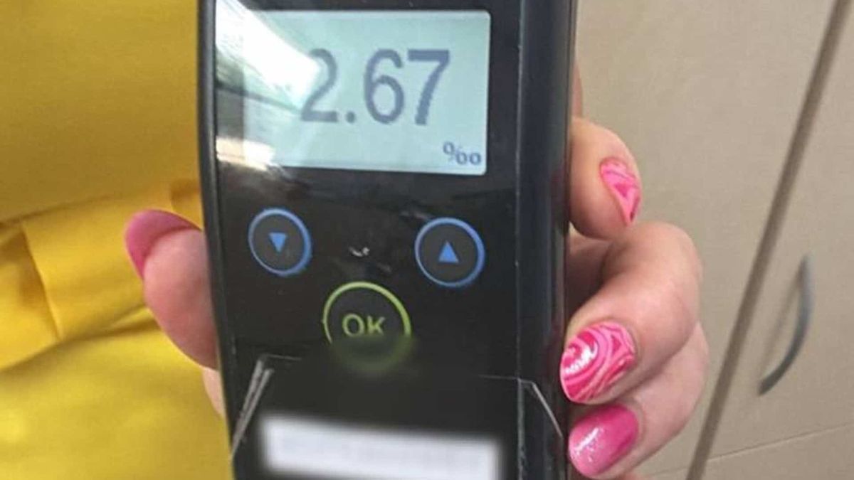 У Дарницькому районі п'яний водій в'їхав у магазин: 2,67 проміле Автомобіль Hyundai в'їхав у будівлю магазину на вулиці Садовій у Дарницькому районі Києва, водій — 2,67 проміле