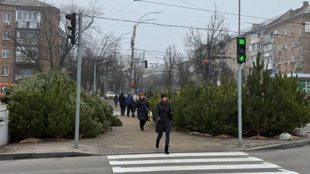 Як легально декларувати знайдену зброю в Україні Торгівля ялинками на вулиці
