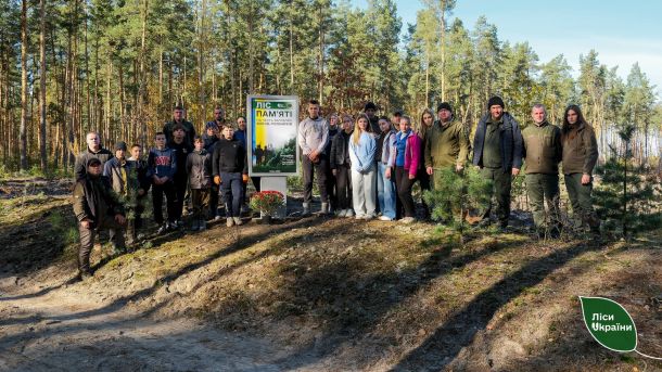 «Київпастранс» переплатив 47 млн: підозра постачальнику Команда, яка висаджувала ялинки в лісі зібралась для спільного фото на фоні висаджених ялинок