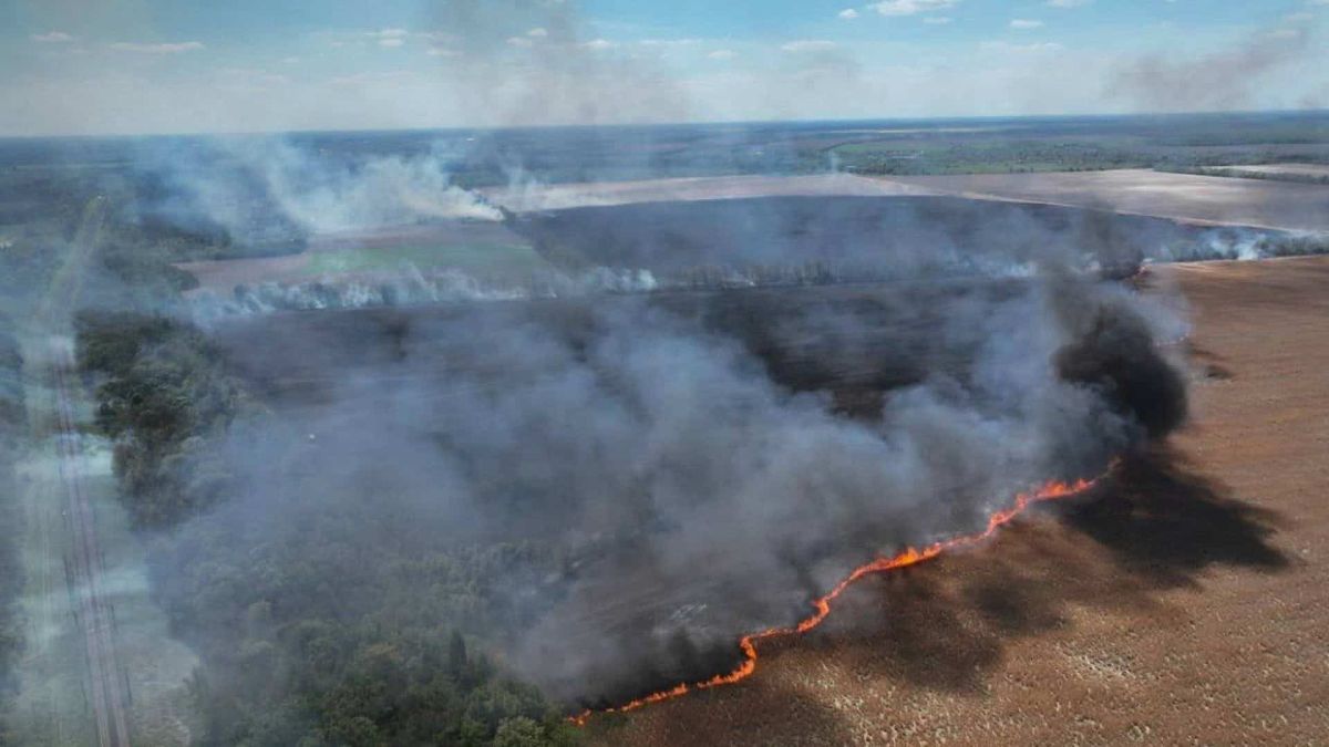 Пожежа на Фастівщині: 120 га і знищений комбайн Пожежа на Фастівщині: 120 га і знищений комбайн