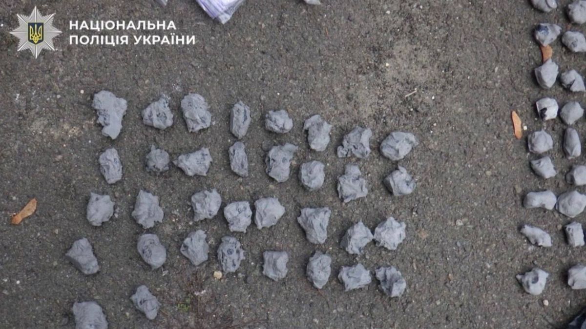 Подружжя збувало канабіс закладками у Дніпровському районі: загрожує до 10 років Поліцейські затримали подружжя за збут канабісу через закладки у парковій зоні Дніпровського району Києва