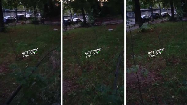 У Києві муніципальна охорона вгамувала п’яного пацієнта, який погрожував лікарю Лисиця у Києві