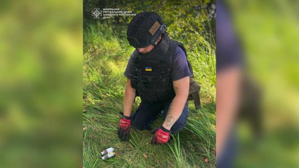 В Ірпені зооволонтери врятували кота, який кілька днів просидів на даху без їжі та води (відео) В Ірпені зооволонтери врятували кота, який кілька днів просидів на даху без їжі та води (відео)