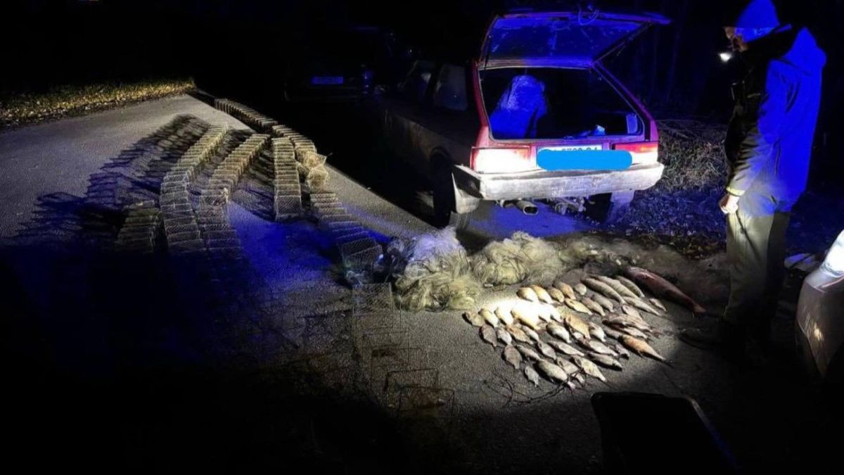 На Київщині браконьєр наловив риби та раків на 250 тисяч гривень Нічне фото: риба, браконьєрські сітки та пастки лежать на дорозі біля автомобіля