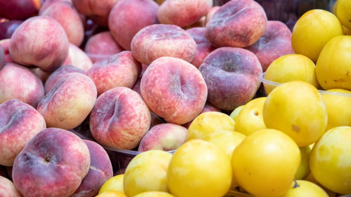 Фермерські ярмарки в Києві: що і де купити з 1 по 4 липня Фермерські ярмарки в Києві: що і де купити з 1 по 4 липня
