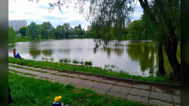 У Святошинському районі облаштують зону активних розваг біля ставка на Нивці Ставок № 14 на річці Нивка у Святошинському районі Києва — місце майбутньої зони активних розваг на вулиці Верховинній