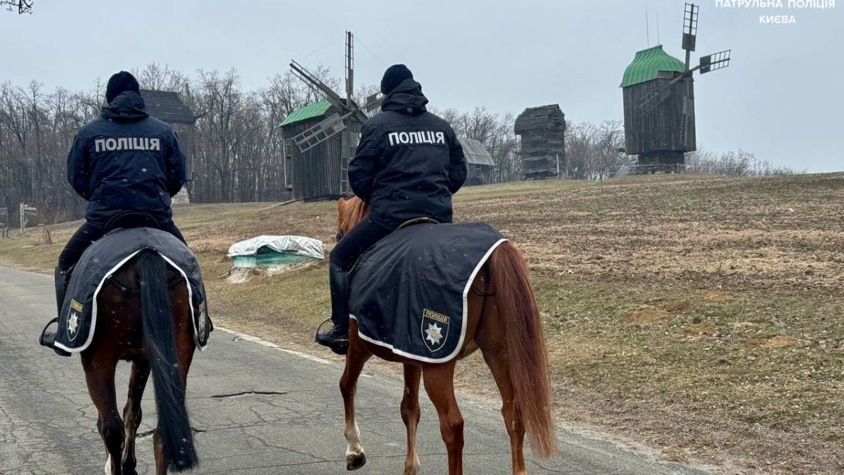 Коні у Києві: нові місії на міських вулицях Коні у Києві: нові місії на міських вулицях