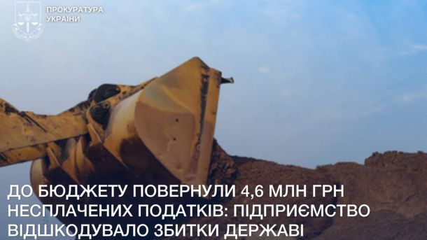 Леви Київського зоопарку святкують 17 років: як виживають у мороз Ковш екскаватора, з якого висапається пісок