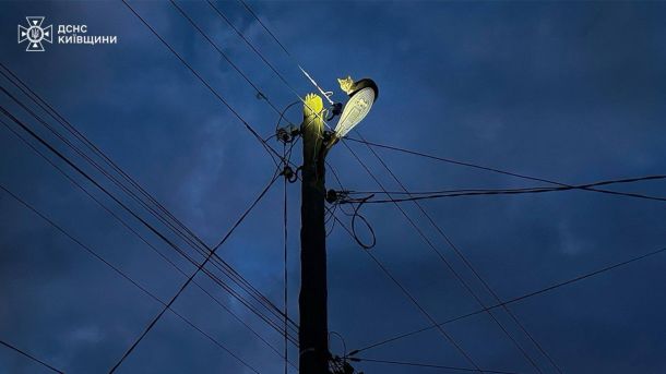 Посадовця військового госпіталю підозрюють у схемі з підробки довідок ВЛК Рятувальник ДСНС з набором верхолаза піднімається до кота, якого знімають зі стовпа у Яготині на Київщині