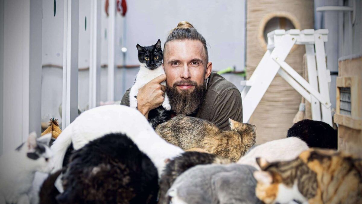Під Ірпенем зводять унікальний Котопарк для врятованих із війни тварин: проєкт Олексія Суровцева Олексій Суровцев. Фото: facebook.com/mister.strike