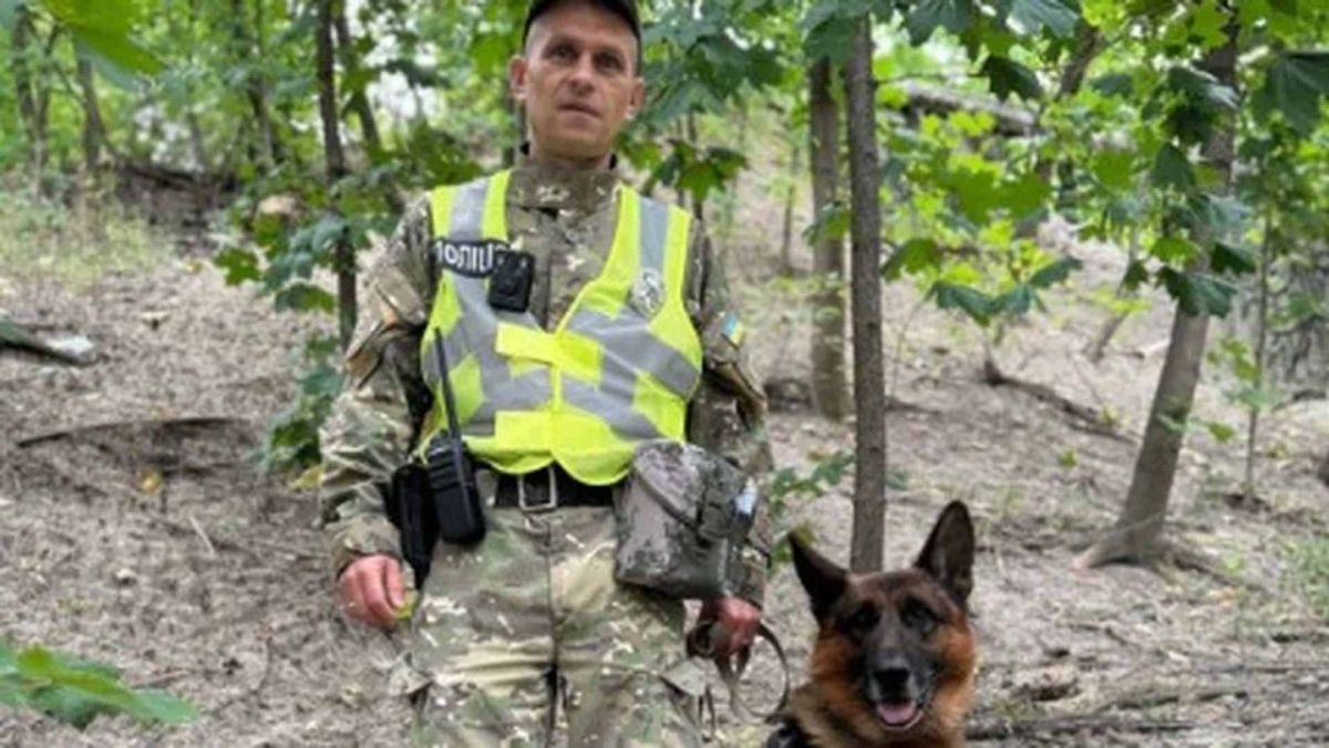 У Києві поліцейський кінолог із собакою розшукав 13-річного хлопця, який пішов з дому Кінолог зі службовою собакою в лісі