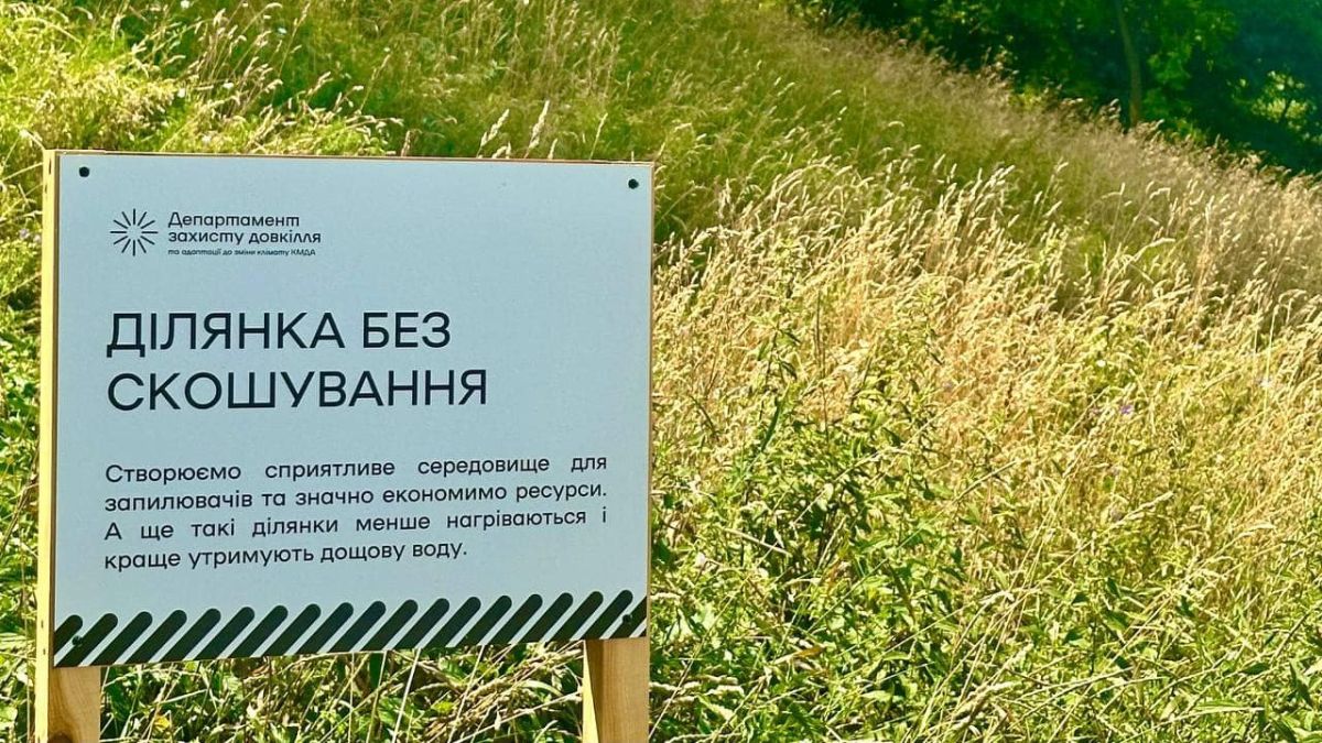 Київ розширює зони без косіння трави: у пріоритеті — волога, тінь і біорізноманіття Київ розширює зони без косіння трави: у пріоритеті — волога, тінь і біорізноманіття
