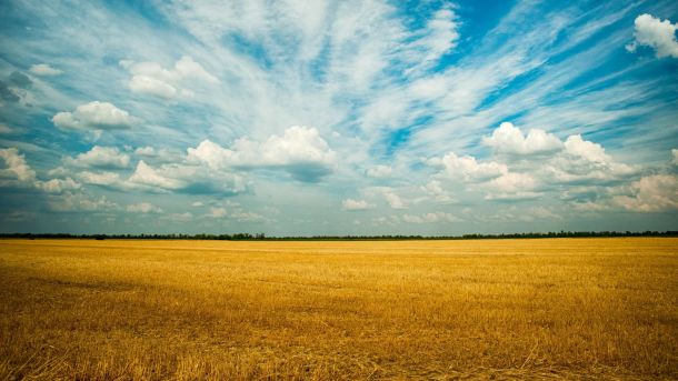 У Києві лікарці повідомили підозру через смерть пацієнтки від інфаркту Земельна ділянка сільськогосподарського призначення, конфіскована у громадян рф на користь держави